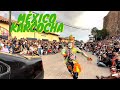 Karcocha recibiendo dinero en México AMEALCO 🇲🇽