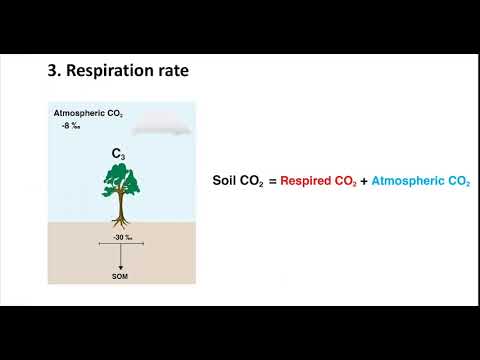 Video: Ce sunt carbonații din sol?