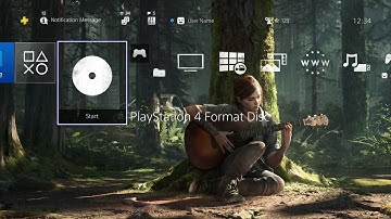 The Last of Us Part II - FREE Ellie Duality Dynamic Theme (PS4)