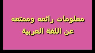 معلومات ستصدمك قد لا تعرفها عن اللغة العربية