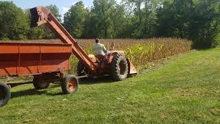 Picking corn with my Allis Chalmers wd and 33 corn picker