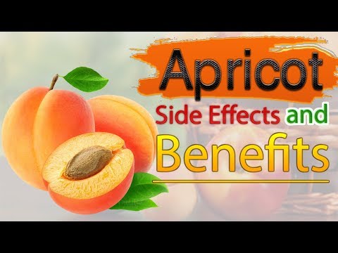 Video: Apricots: Benefits And Contraindications
