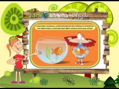 თევზები - Fishes - გადაცემა \"ეკოვიზია\" - 'Ecovision' TV Show