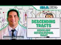 Neurology | Descending Tracts: Medullary Reticulospinal Tract Mp3 Song