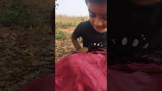 Pushpa Srivalli Dance By An Insect