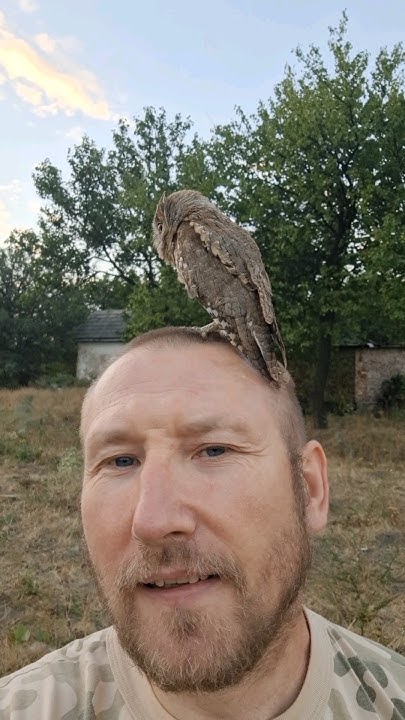 Сплюшка 🦉🦉🦉 СУПЕР ОБЗОР 🔥🔥🔥 Такого вы ещё не видели 🤘🤘🤘 - YouTube