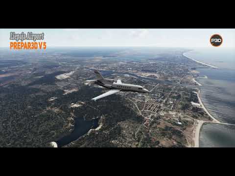 FROOGLESIM NEWS - AUGUST 13 2021