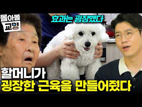 "눈을 뗀 순간 커져있다" 할머니 할아버지의 막내 손주 집에 가기 싫어하는 이유 #몰아볼교양