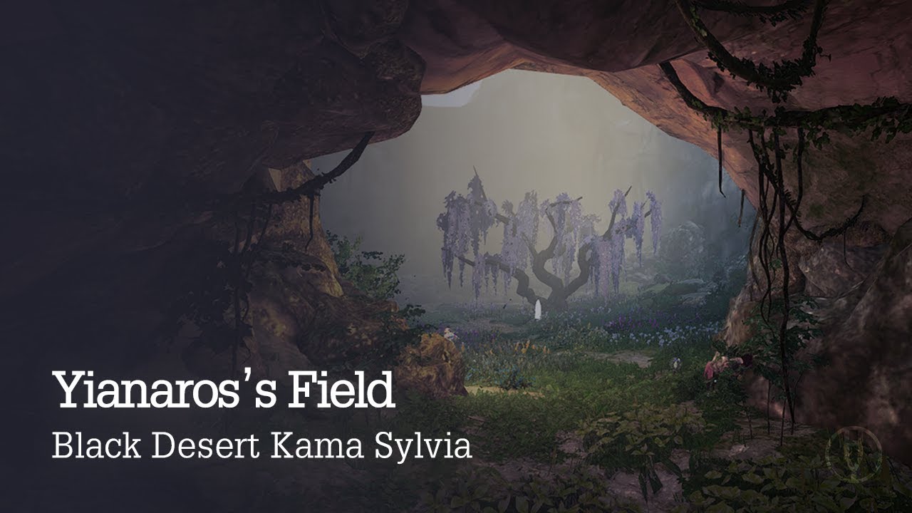 검은사막 카마실비아 이아나로스의 들 (Black Desert Online Kama Sylvia Yianaros's