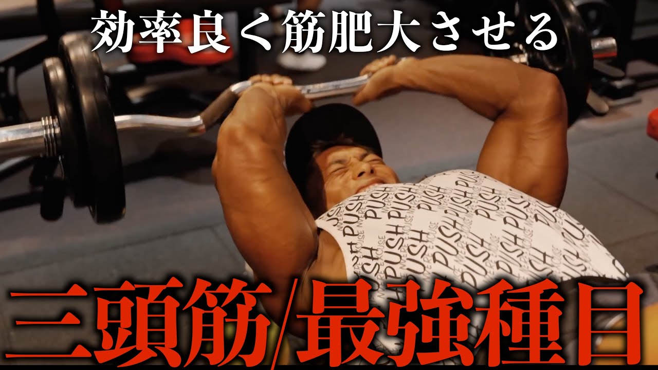 【三頭筋】減量期の腕トレ3種目と絞れる食材の紹介