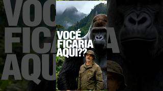 Frente a Frente com um Gorila-Prateado | O Gigante de Virunga