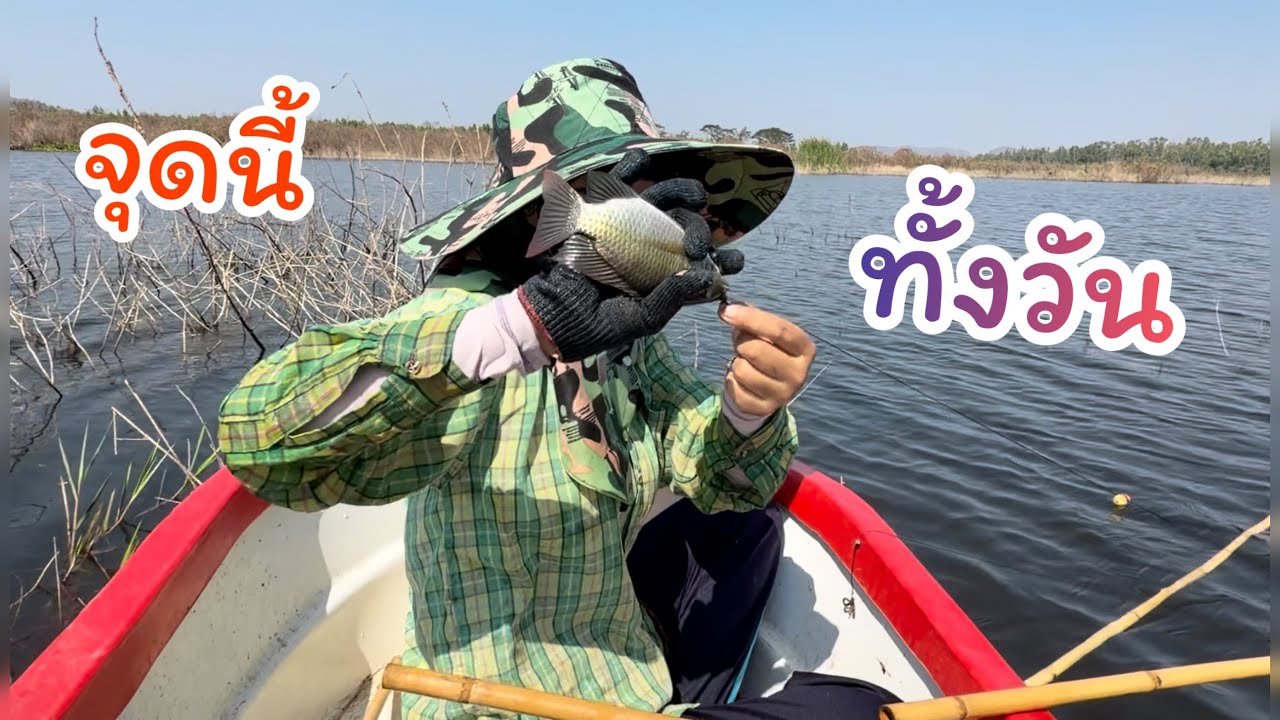 #ตกปลาคันไม้ไผ่ เจอฝูงใหญ่ จุดเดียวตกได้ทั้งวัน 