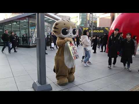 JHKTV] 신촌 명물고양이 빨간맛 shin <strong>chon</strong> special <strong>cat</strong> red flavor