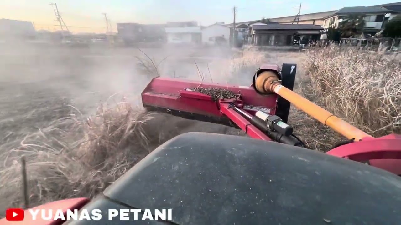 RUMPUT TETANGGA JEPANG