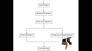 Automatic localization and segmentation of OD in fundus image using morphology and level set screenshot 1