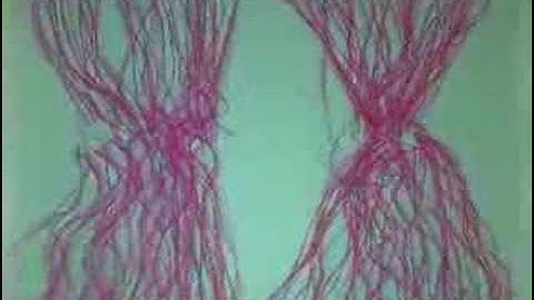 CCdB_Laptop Sessions - Testing 001