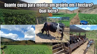 Qual o valor para montar um projeto de leite em 1 hectare? Qual é o lucro?