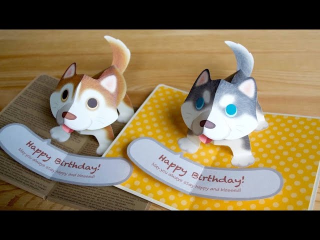 pop-up card_ Siberian Husky _（ポップアップカード_ハスキー犬