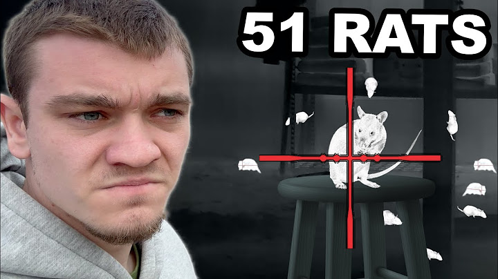 Hunting Down the Nasty Rats that Invaded My Barn!