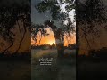 القارئ محمد هشام سورة طه الآية 98 اكسبلور Explore قرآن قرآن كريم Quran Viral Fyp 