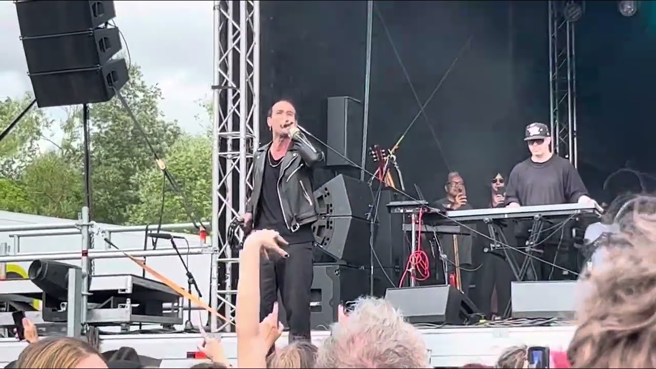 SHE WANTS REVENGE (Live), Forever Now, Music festival. Milton