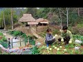 Timelapse  2 years of gardening and raising animals harvesting and selling agricultural products