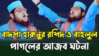 বাদশা হারুনুর রশিদ ও বাহলুল পাগলের আজব ঘটনা। বাহার উদ্দিন কুমিল্লা। Baharuddin Comilla। new waz 2023