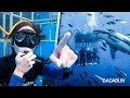 YouTubers nadan con Tiburones Blancos
