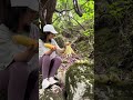 Peaceful Yoga &amp; Meditation in Nature 🌿 | Relaxing Campfire &amp; Grilled Corn 🔥