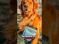 The Protein Changing Dog Food | Meet Jiminy's #shorts