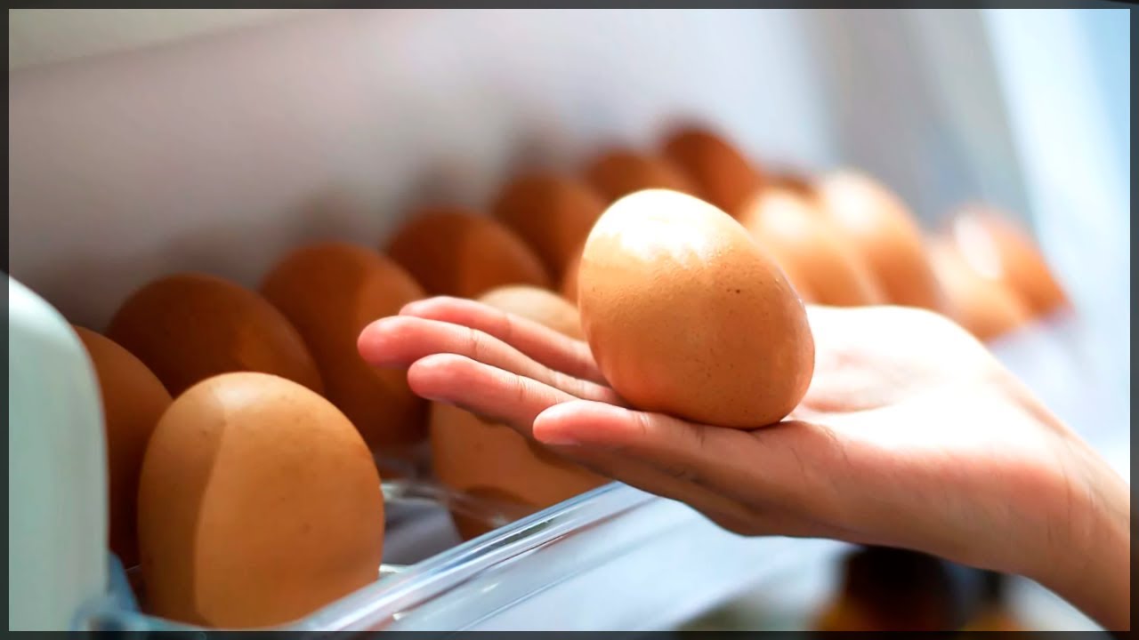 Сколько можно держать яйца. Яйца в холодильнике. Куриные яйца в холодильнике. Хранение яиц. Яйцо в руке.