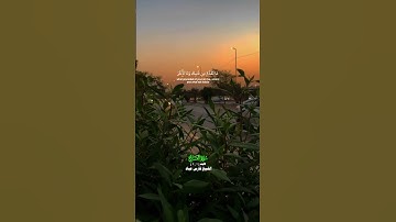 فواتح سورة الفتح _ تلاوة عذبة بصوت الشيخ فارس عباد_#quran #اكسبلور #المصحف