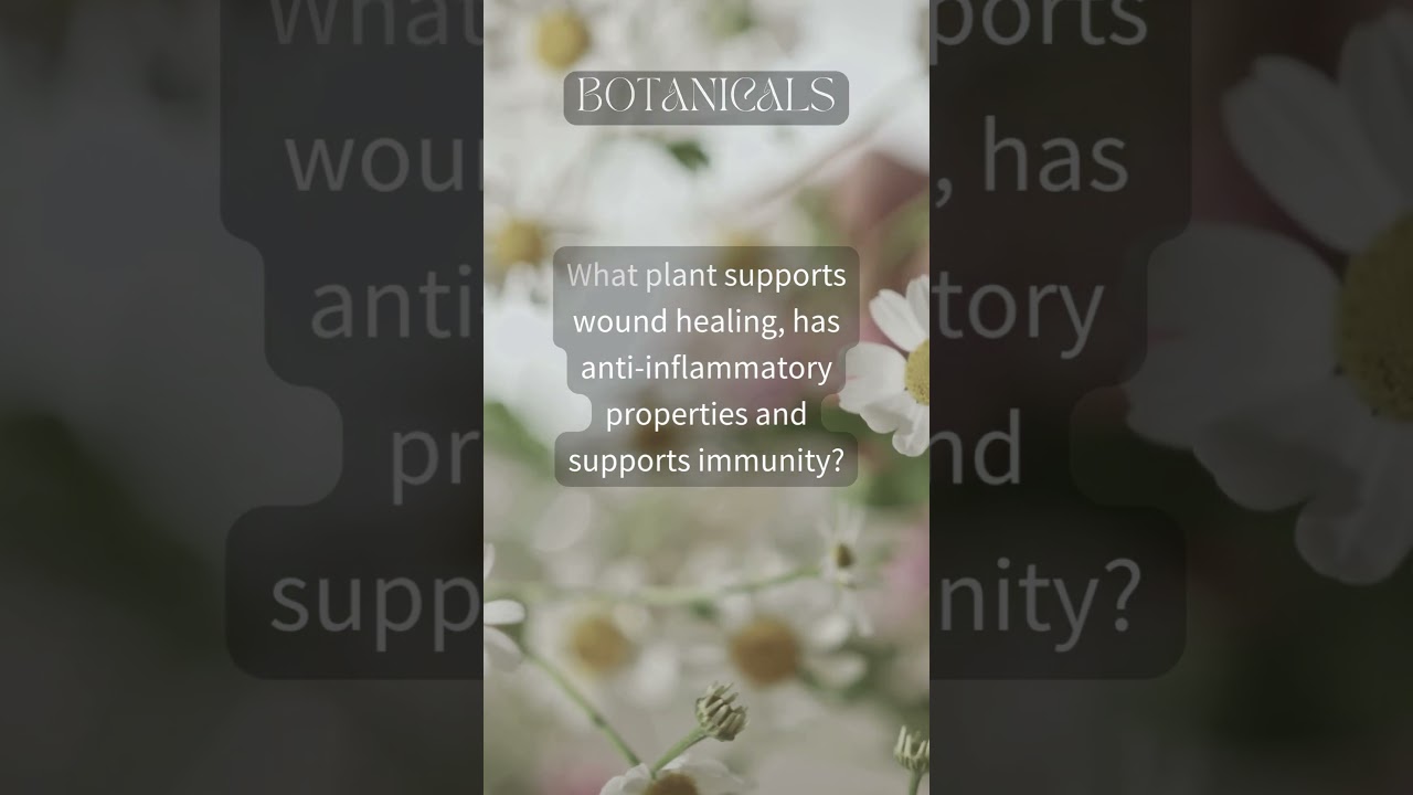 Nature's Soothing Secret: Aloe Vera, the Botanical Elixir for Wellness | 