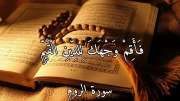سورة الروم من 41 الى 43
