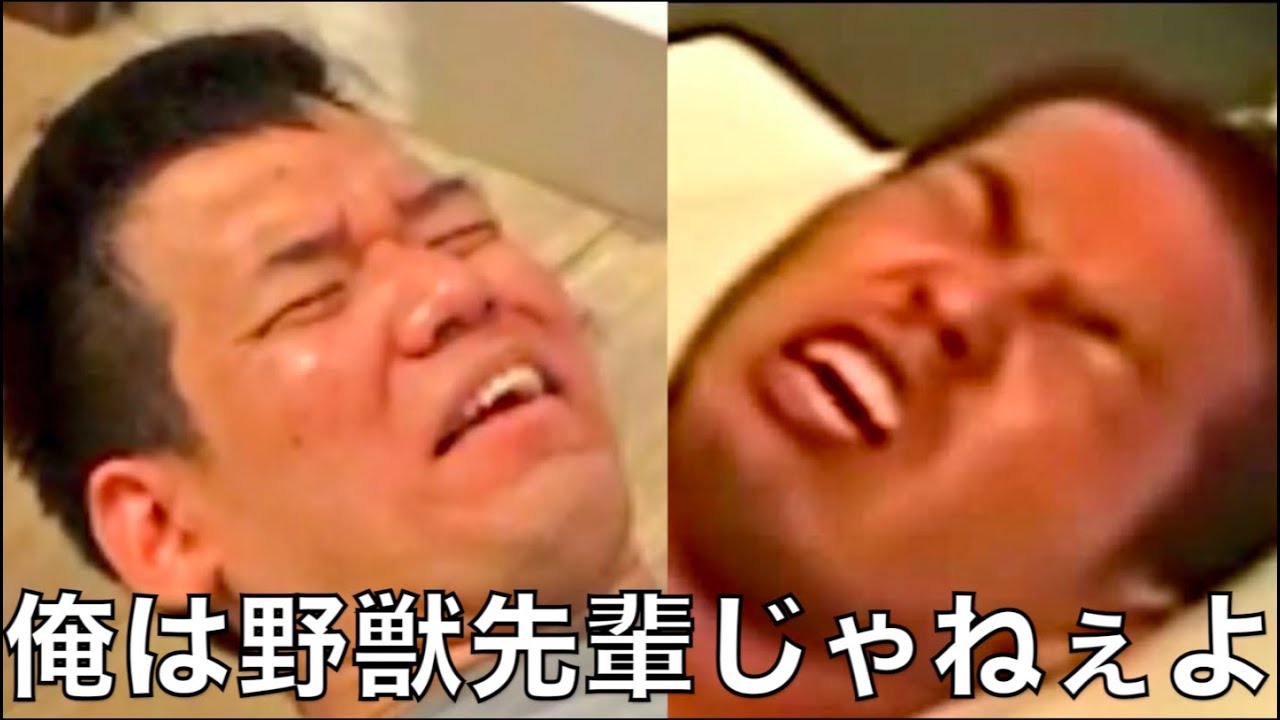 野獣 先輩 元 ネタ