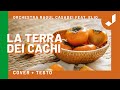 LA TERRA DEI CACHI - Orchestra Raoul Casadei ft. Elio (Cover originale + testo)