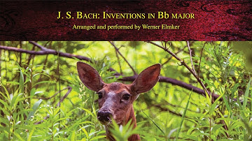 J. S. Bach: Two and Three Part Inventions in Bb major | Arranged and performed by Werner Elmker