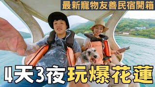 【花蓮4天3夜毛孩旅遊 Vlog 上集】2023最新寵物友善民宿開箱、復古野菜火鍋初體驗、日系草坪質感民宿推薦山禾曙金澤居老樹舍咖啡廳櫻の田野養生休閒農莊驚奇咖啡瑞樂絲早午餐