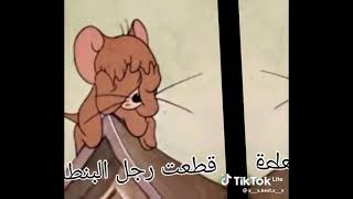 توم و جيري اغنية كنت ماشي في الطريق