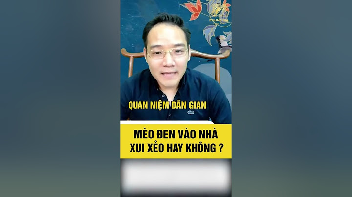 Mèo vào nhà là điềm báo gì năm 2024