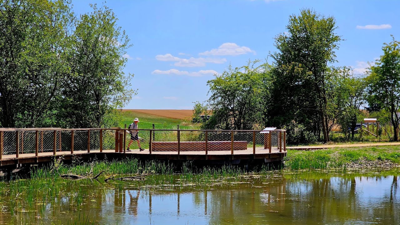 Balade à Niverlée - Doische 