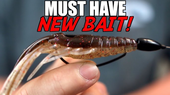 6th Sense Baits Unveil Part 1 