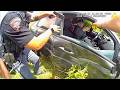 He Hit 102 MPH in a 35 Zone… Then Cop RAMS His Car Off the Road