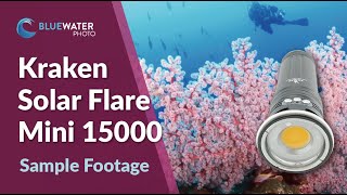 Kraken Solar Flare Mini 15000 Underwater Video // Raja Ampat Underwater Photo Workshop