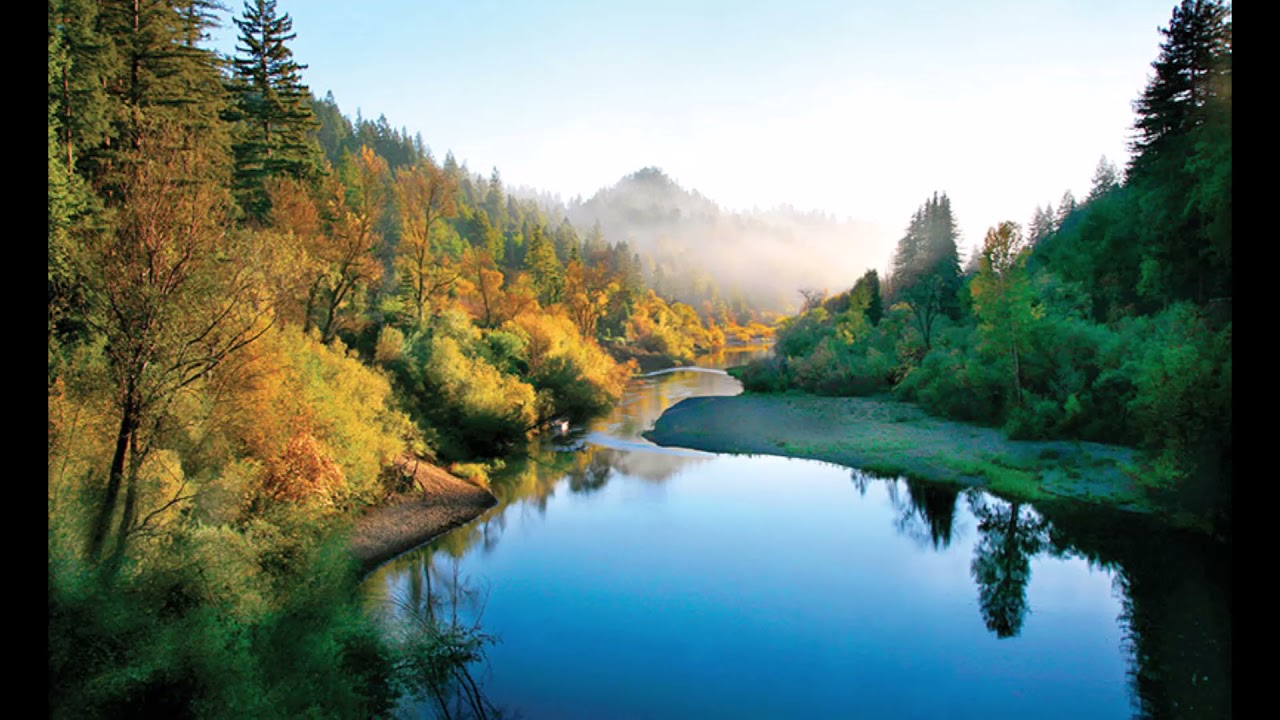 Dan Henig- Russian River