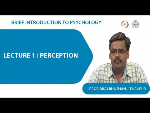 Lecture 1 : Perception