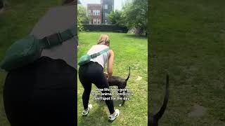 A Reminder That Joy Can Start With Just One Sniffspot Visit