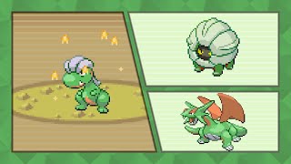 [Live] - Shiny Bagon after 8,327 (17,083 total) random encounters in Ruby! (DTQ #6)