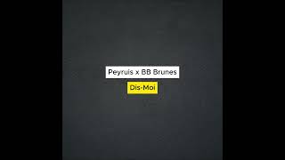 Peyruis x BB Brunes - Dis-Moi