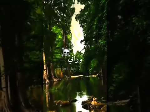 تصميم اغنية يا دارهالي رأيي وراني نسوفري